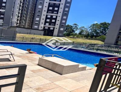 imagem-miniatura