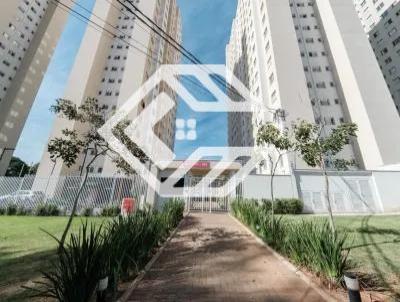 imagem-miniatura